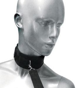 Frisky 46 Inch Leash and Collar Set